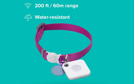 Tile Mate (2020) - Paquete de 4 con Echo Dot (3.a generación) con altavoz inteligente de Amazon con Alexa